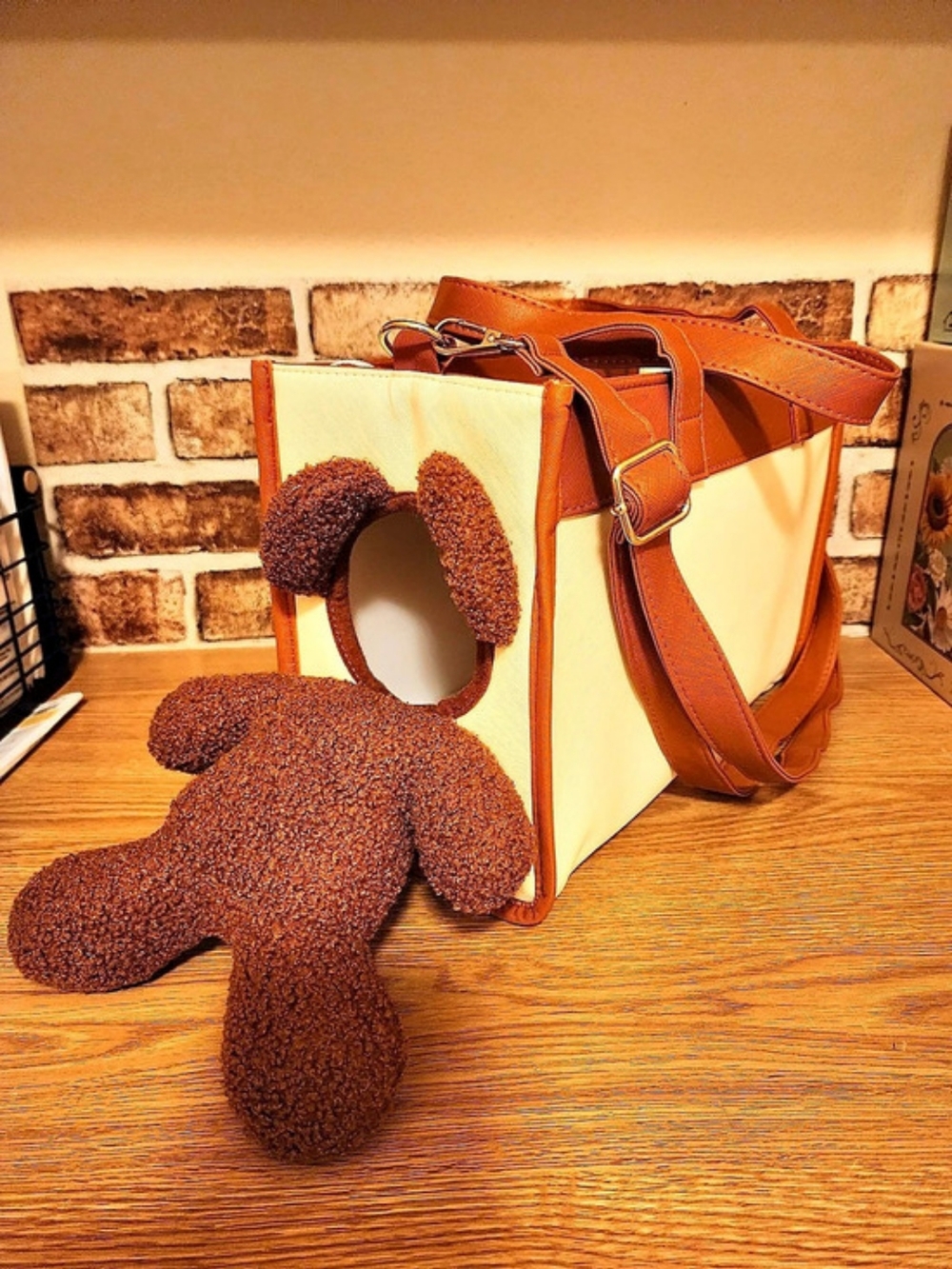 Teddy Bear Dog Carrier